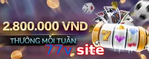 77v site