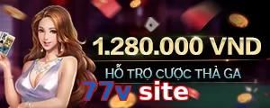 77v site