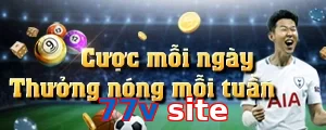 77v site